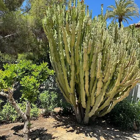 Mediterranean For Family Javea